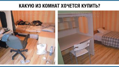 Photo of Почему важно развивать общение