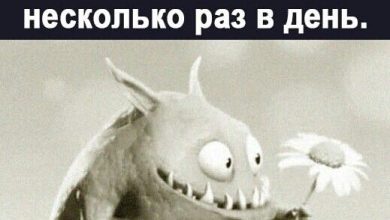 Photo of Лада: идеальное решение для вашей жизни